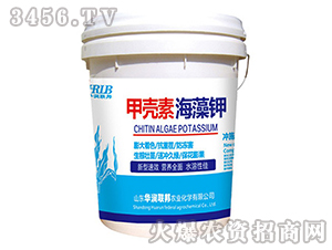 �ך��غ����-�A���s��