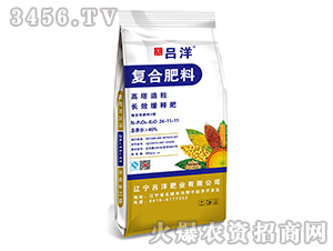 �ͺϷ���24-11-11-����