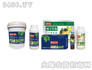 ���ӱؼ�-�κ�����