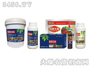 ���ұؼ�-�κ�����