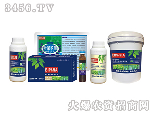 �~�˱ؼ�-�κ�����