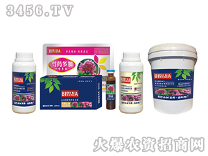 ��ˎ�ؼ�-�κ�����