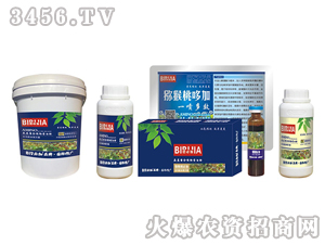 �J���ұؼ�-�κ�����