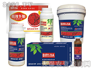 õ��ؼ�-�κ�����