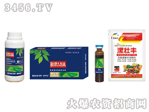 �����S-�̱ؼ�-�κ�����