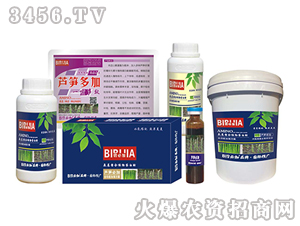 �J�S�ؼ�-�κ�����