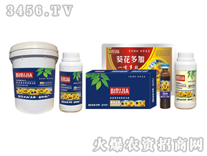 �����ؼ�-�κ�����