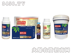 �S���S�αؼ�-�κ�����