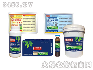 ���o���ؼ�-�κ�����