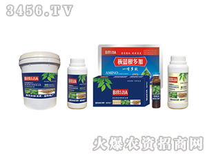 ���{���ؼ�-�κ�����