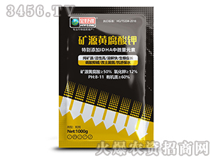 �VԴ�S�����-���S�f(w��n)¡