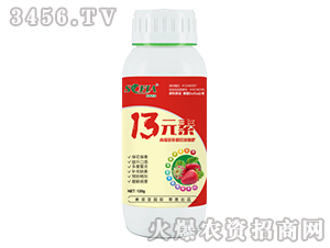 120g13Ԫ��-���Ɓ�