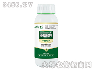 100g�������-���Ɓ�