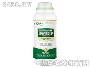 1000g�������-���Ɓ�