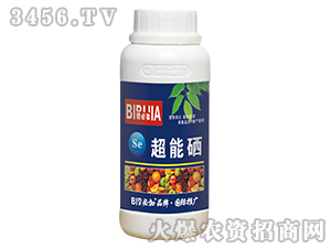 ������-�̱ؼ�-�κ�����