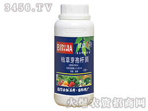 �ݲ�ѿ�ߗU��-����1̖-�κ�����