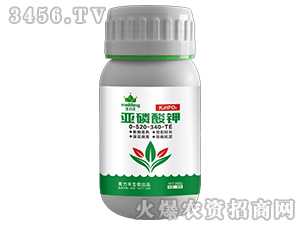 �������0-520-340-TE-�����S