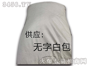 �o�ְװ�-��������