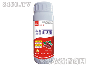 �t���������-��֮��-����