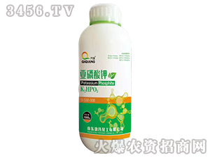 �������-�揊(qi��ng)-���ϻ���