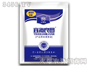 �����������ײ�-�˺�����-������ 