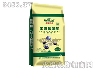 ��΢������-�����r�I(y��)