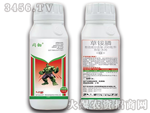 ���@��-�W�z-����ֲ��