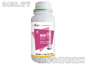 �Ǵ��-�ڼژ�