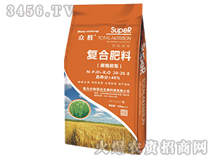 ��(f��)�Ϸ���20-20-8-����