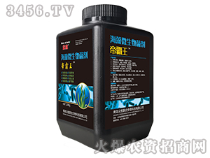 ����΢�������-�۰���-����