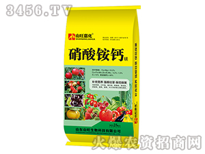 �����@�}�V-ɽ���λ�