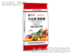 �S����-��Ԫ��-ɽ������