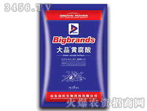 ��Ʒ�S����-ɽ������