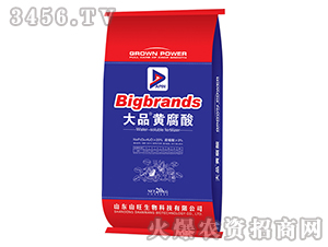 20kg��Ʒ�S����-ɽ������