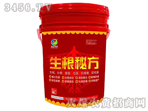 �����ط�-�����r(n��ng)��