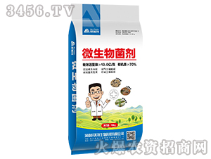 10�|���΢�������-������