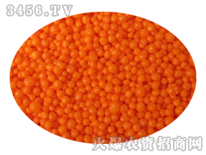 90���Ĥ����w��-�𚤻���