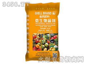 ΢�������-�𚤻���