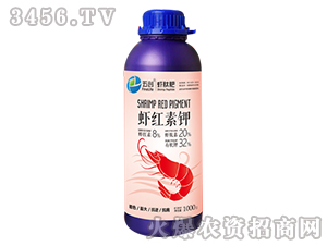 ������ɫ�����~���-�r�t���-�儓(chu��ng)