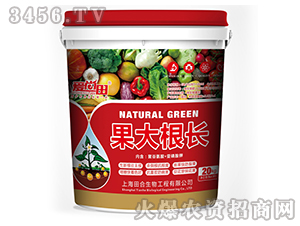 ������LҺ�w��-������-�������