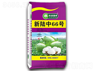 �����66̖(h��o)-�޻��N��-������