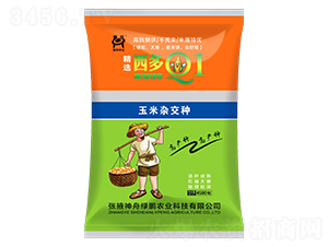 ����Q1-�����s���N-�G�i�r(n��ng)�I(y��)