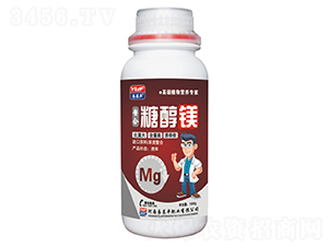 �����Ǵ��V-���R�S