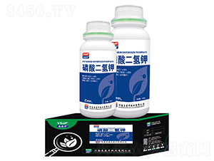 ��������-���R�S