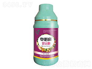 �\Ԫ��-׿�ظ�-һ������