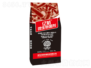 ΢�������-�|��