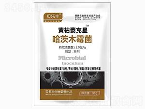 ����ľù��-�S��ή����-ؐ���S