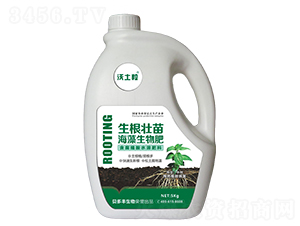 �������纣�������-������-ؐ���S