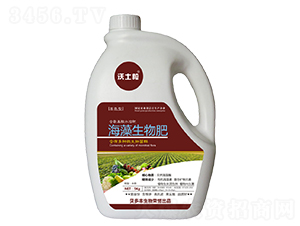 �����������-ؐ���S