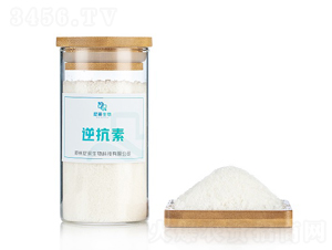 �濹��-�������